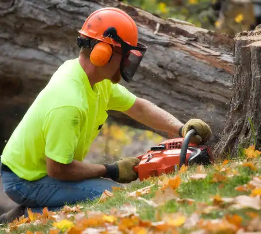 tree services Bossier City